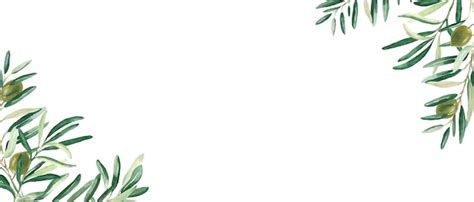 Premium Vector Horizontal Frame Border With Olive Branches Corners