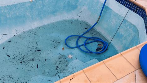 Finding And Fixing A Pool Leak Zodiac New Zealand