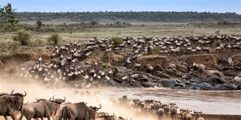 Serengeti Map - Journey Through Africa's Iconic Destination