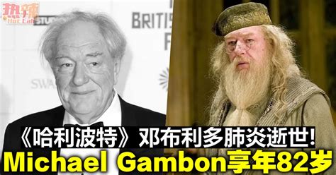 《哈利波特》邓布利多肺炎逝世！ Michael Gambon享年82岁 娱乐 佳礼资讯网