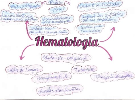 Mapa Mental Hematologia Images And Photos Finder