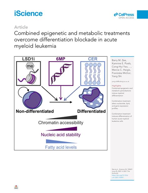 PDF Combined Epigenetic And Metabolic Treatments Overcome