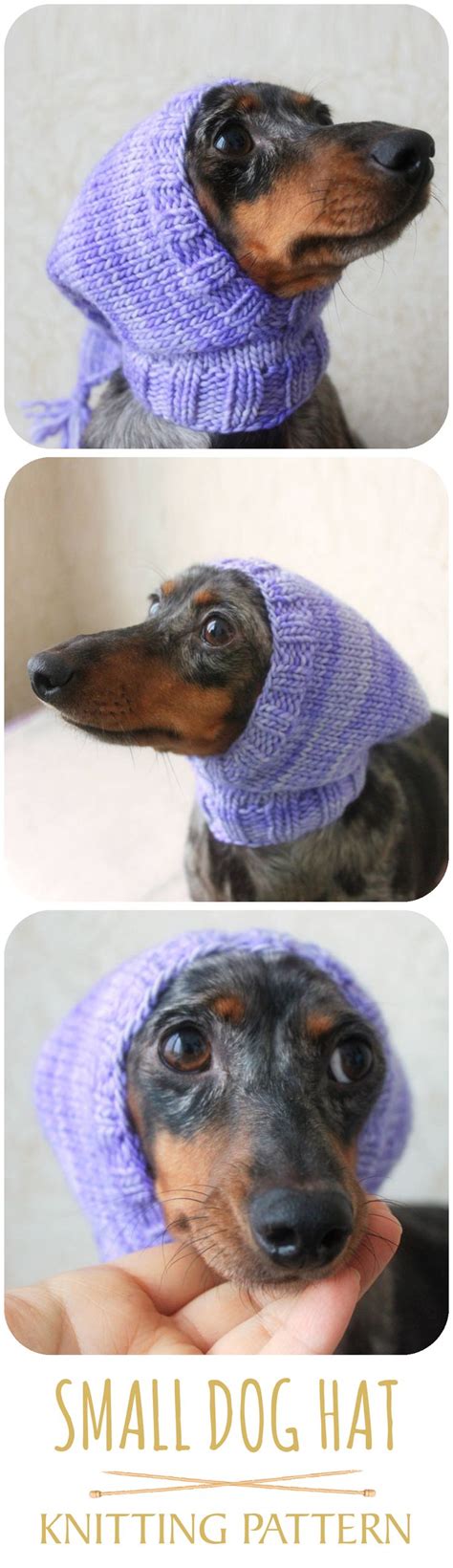 KNITTING PATTERN Dog Hat Pet Hat Dachshund Hat Mini - Etsy | Dog hat ...