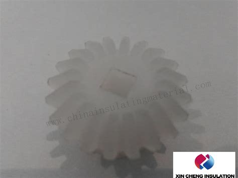 Engineering Plastic Gears Worm Gears Nylon Pa Plastic Gears And