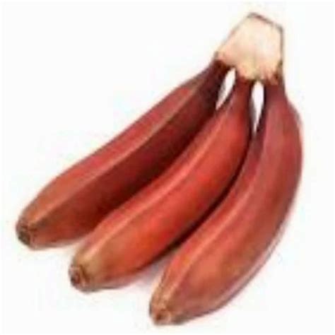 A Grade Fresh Red Banana Packaging Type Carton Packaging Size 50 Kg