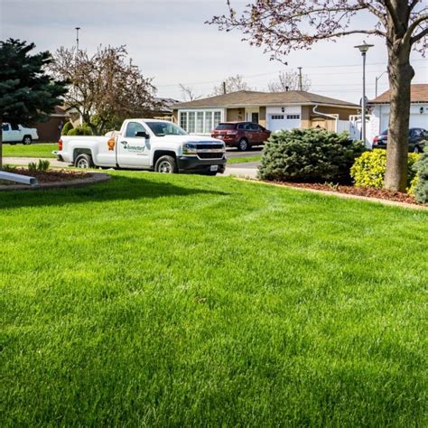 The Best Weed Prevention Methods for Your Lawn | Hometurf