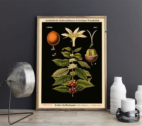 Botanischer Druck 2er Set Botanisches Poster Botanik Drucke Etsy De