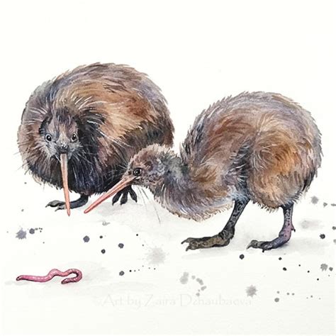 Kiwi Bird Painting - Etsy