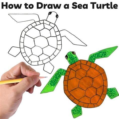 How To Draw A Sea Turtle Step By Step For Kids