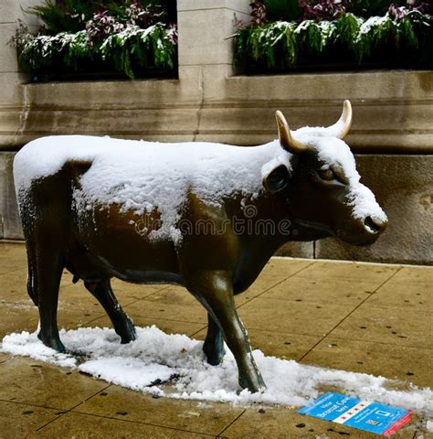 Snow Covered Bronze Cow Editorial Stock Image Image Of Covered 132696239