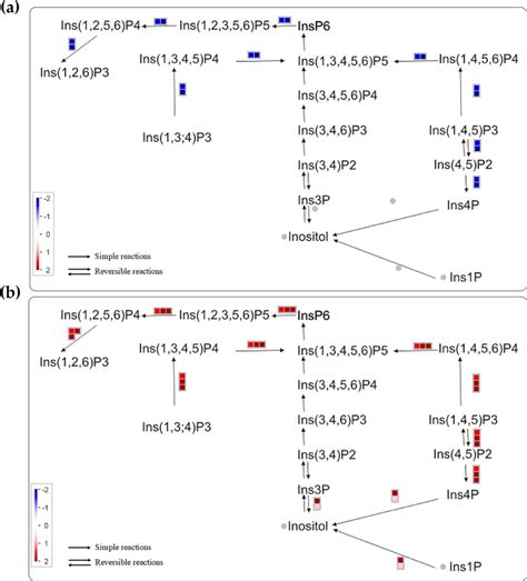 The Expression Levels Of Genes From Inositol Phosphate Metabolism Among