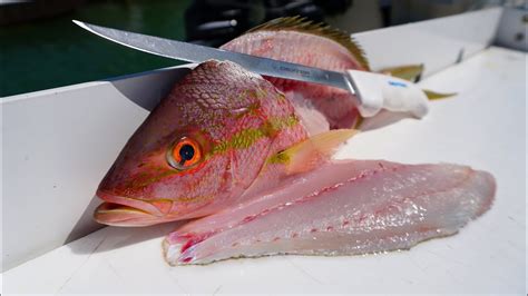 Best Way To Fillet Yellowtail Snapper Fish Cleaning Youtube