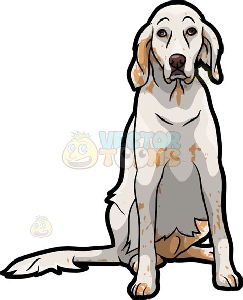 Sad Animal Clipart Free Download On Clipartmag