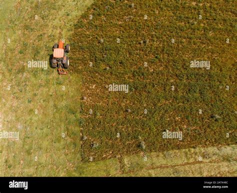 Tractor Removes Green Grass From Field Concept Of Harvesting Silage