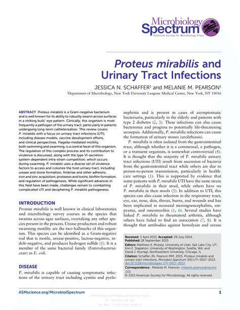 Proteus Mirabilis Uti Treatment