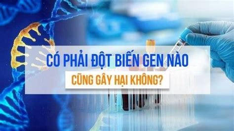 Đột biến gen là gì Nắm trọn kiến thức quan trọng về đột biến gen Fqa vn