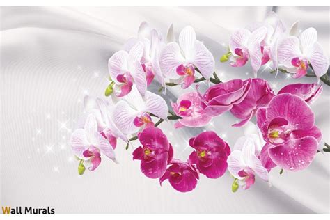 Pink Orchid Wallpapers - Wallpaper Cave