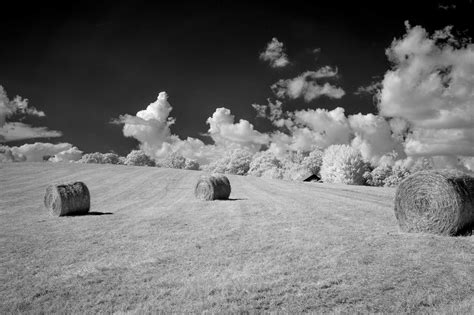 Hayfield Hill Binhammer Photographs