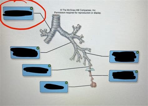 Biology Unit Exam Study Terms Definitions Flashcards Quizlet