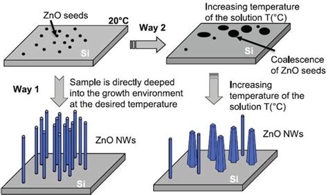 Zno Nanowires Growth Direction And Parameters Affecting Their Surface