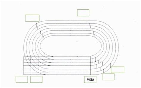 Mediante La Imagen De La Pista Atlética Indica Las Medidas Que Corresponden A Medida De La