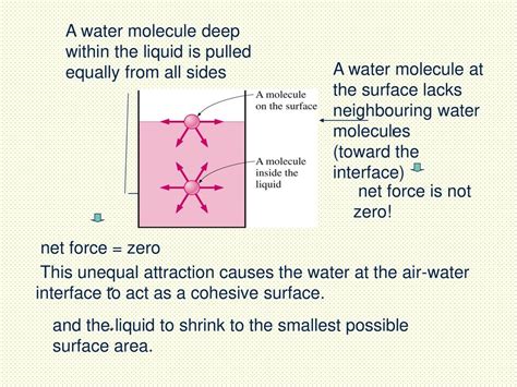 Surface Tension The Surface Of Any Liquid Behaves As If It Was A Stretched Membrane This