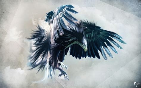 Bird Of Prey Hd Wallpaper Rare Gallery