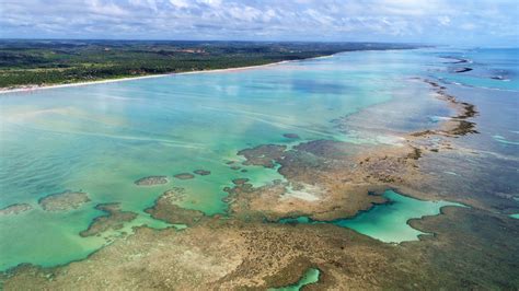 O Que Fazer Em Alagoas Pontos Tur Sticos E Passeios