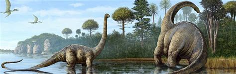 Sauropods | Answers in Genesis