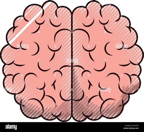 Brain Front Silhouette