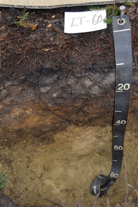 femc dataset soil sample descriptions overview