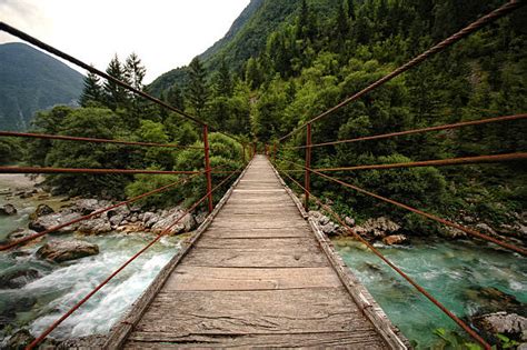 4,800+ Rope Bridge Stock Photos, Pictures & Royalty-Free Images - iStock