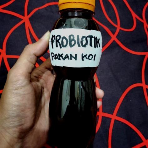 Jual Probiotik Pakan Koi Bakteri Aktif Mengurangi Amoniak Kota