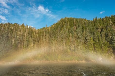 premium photo fogbow   rainbow   fog  alaska