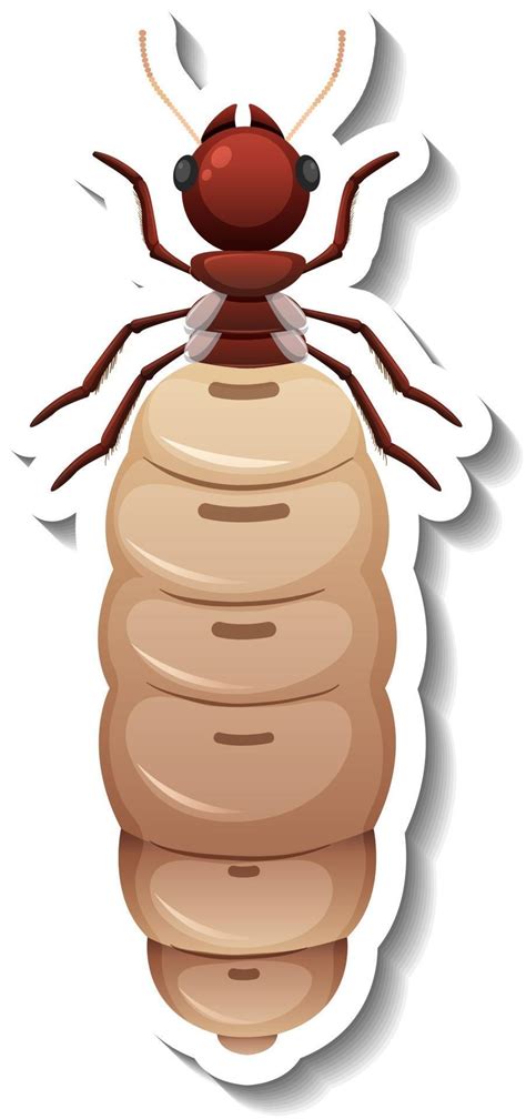 A Sticker Template With Top View Of Primary Queen Termite Isolated