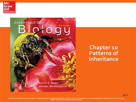 Chapter Patterns Of Inheritance Ppt