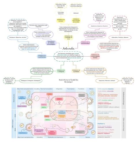 Clasificaci N De Antivirales Alondra Montserrat Gradilla Silva Udocz