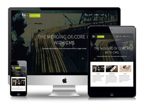 website  behance