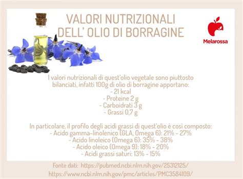 Olio Di Borragine Proprietà E Valori Nutrizionali Usi E Controindicazioni