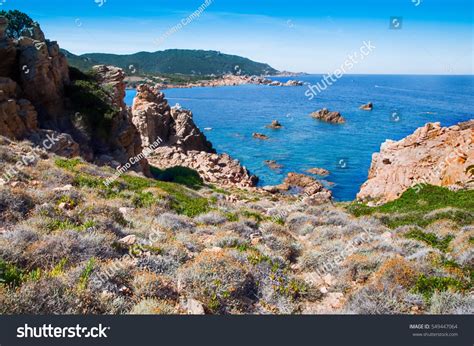 Summer 2016 Li Cossi Beach Costa Stock Photo 549447064 | Shutterstock