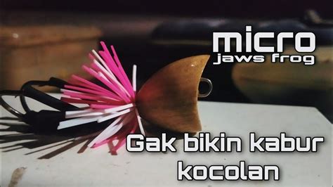 Tips Membuat Jaws Frog Micro 2cm Jaws Frog Mini Jaws Frog Mini