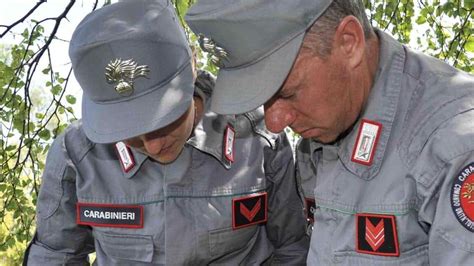 Bilancio Dei Carabinieri Forestali Sicurezza Ambientale E