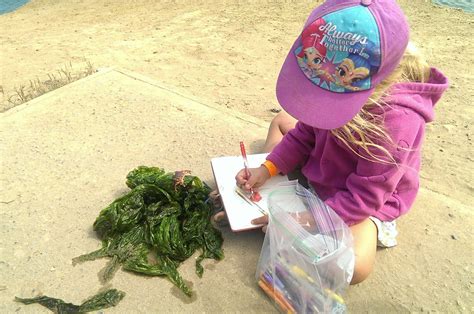 What is Nature Journaling? — Wild Wonder Foundation 