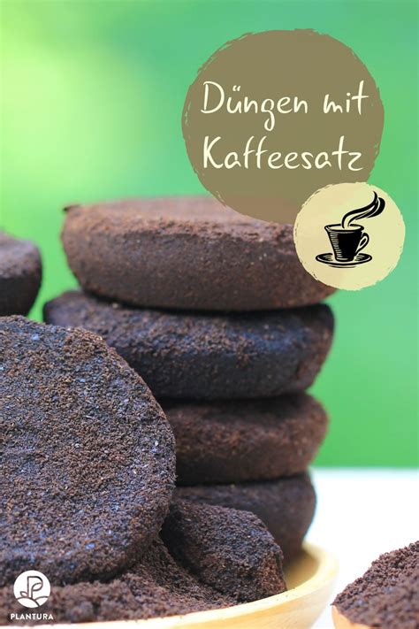 Düngen mit Kaffeesatz Kaffeesatz fällt in fast jedem Haushalt an Er