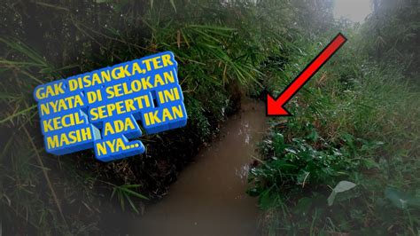 MANCING IKAN KETING LUNDU GARITEL DIKALI TARIKAN NYA YAHUDDD MASBRO