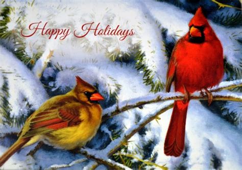 Cardinals In The Snow Christmas Card