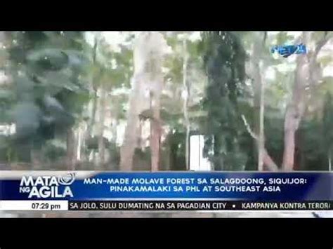 Pasyalan Pinakamalaking Man Made Molave Forest Sa Southeast Asia