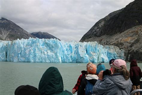 Tracy Arm Fjord Glacier Explorer Excursion - Tammilee Tips