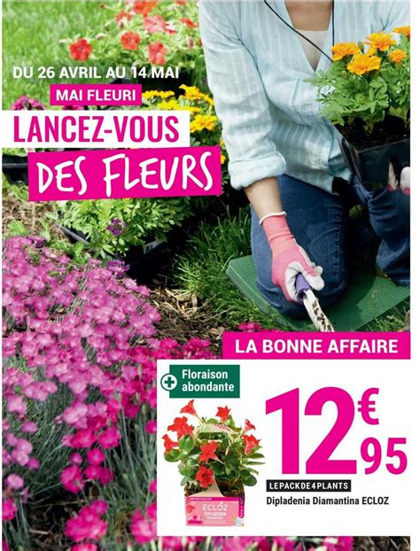 Promo Diplad Nia Diamantina Ecloz Chez Gamm Vert Icatalogue Fr