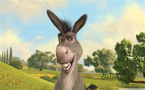 Download Funny Smiling Donkey Wallpaper | Wallpapers.com